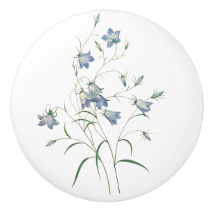 Pomo De Cerámica Bluebells en Redoute Botananic Art Round Knob