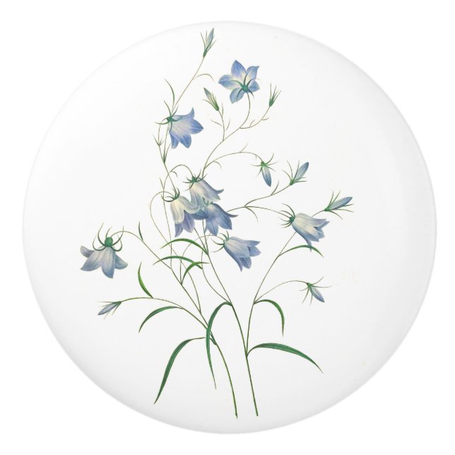 Pomo De Cerámica Bluebells en Redoute Botananic Art Round Knob (Anverso)