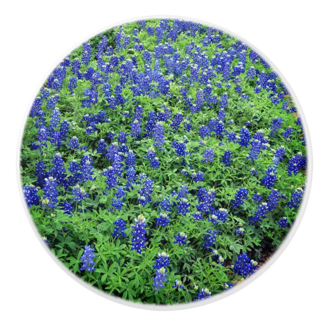 Pomo De Cerámica Bluebonnet Knob (Anverso)