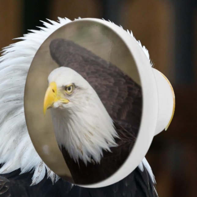 Pomo De Cerámica Bold Eagle Ceramic Drawer Knob – Strength (Subido por el creador)