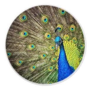 Pomo De Cerámica Bonito Knob de pavo real