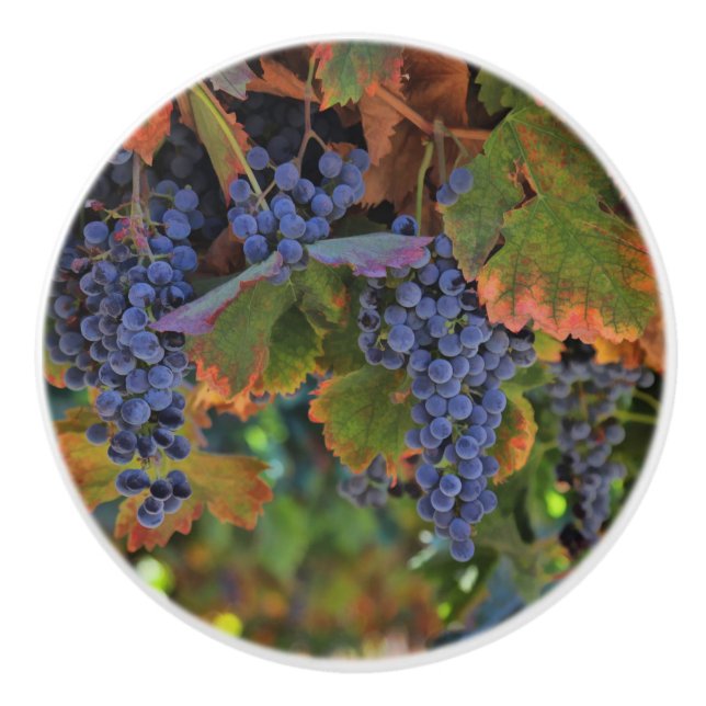 Pomo De Cerámica Bonito Vineyard Wine Country Knobs and Pulls (Anverso)