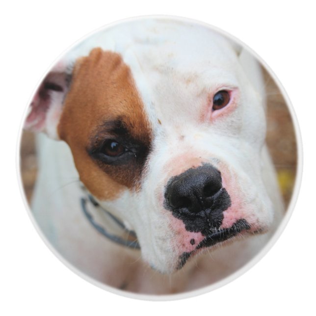 Pomo De Cerámica Boop (Anverso)