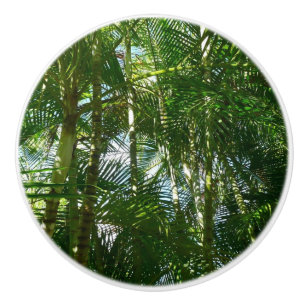 Pomo De Cerámica Bosque de palmeras Naturaleza tropical