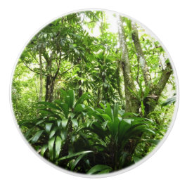 Pomo De Cerámica Bosque lluvioso dominicano I Naturaleza tropical v