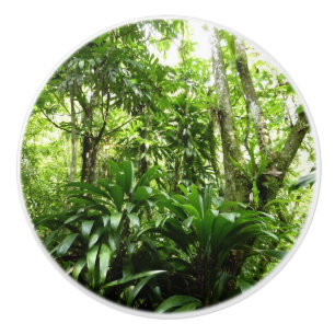 Pomo De Cerámica Bosque lluvioso dominicano I Naturaleza tropical v