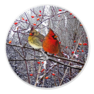 Pomo De Cerámica Botón cardinal del navidad