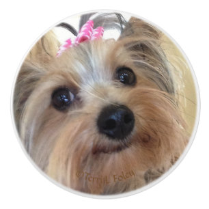 Pomo De Cerámica Botón de cerámica de encargo de Yorkie