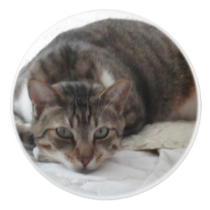 Pomo De Cerámica Botón de cerámica de encargo del gato de Tabby