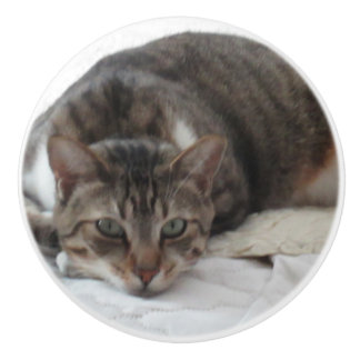 Pomo De Cerámica Botón de cerámica de encargo del gato de Tabby