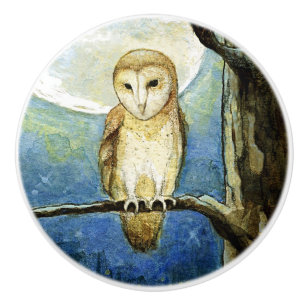Pomo De Cerámica "Botón de cerámica de la luna del búho"