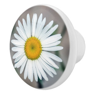Pomo De Cerámica Botón de cerámica de la sola flor de la margarit