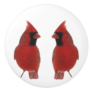Pomo De Cerámica Botón de cerámica de los cardenales