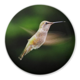Pomo De Cerámica Botón de cerámica del colibrí