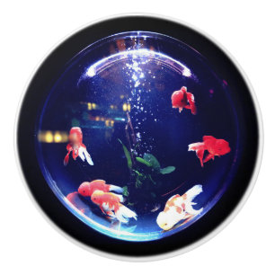 Pomo De Cerámica Botón de cerámica del cuenco del Goldfish