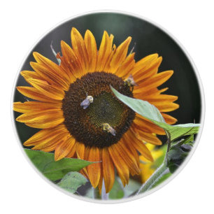 Pomo De Cerámica Botón de cerámica del girasol y de la abeja