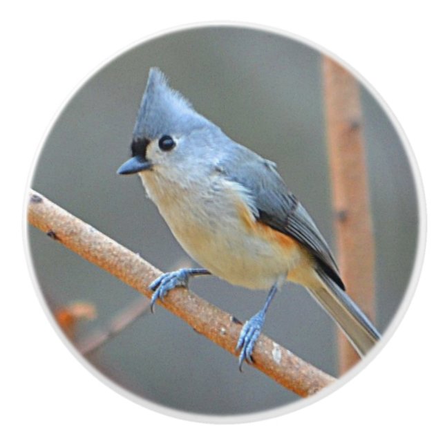 Pomo De Cerámica Botón de cerámica del pájaro (Anverso)