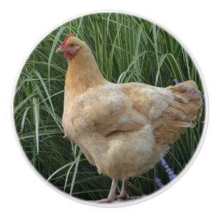 Pomo De Cerámica Botón de cerámica del pollo