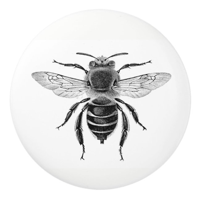 Pomo De Cerámica Botón de la abeja 10 (Anverso)