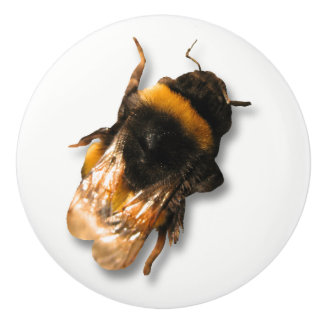 Pomo De Cerámica Botón de la abeja de la miel