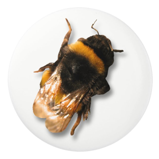 Pomo De Cerámica Botón de la abeja de la miel (Anverso)