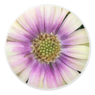 Pomo De Cerámica botón de la flor de la Púrpura-crema