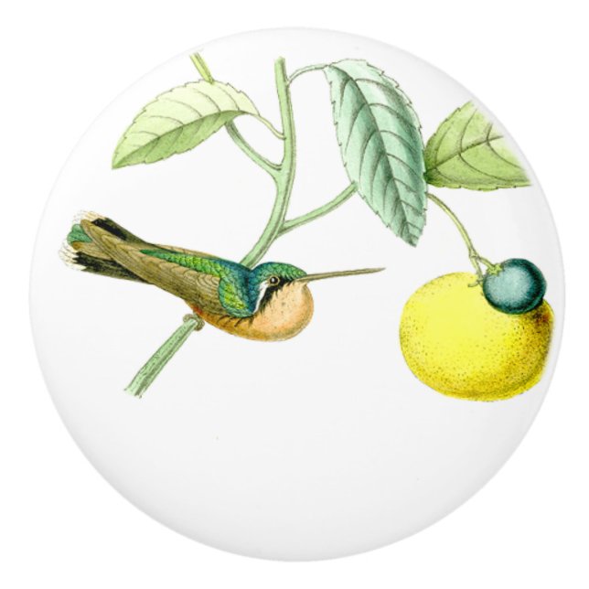 Pomo De Cerámica Botón de la fruta de los animales de la fauna del (Anverso)