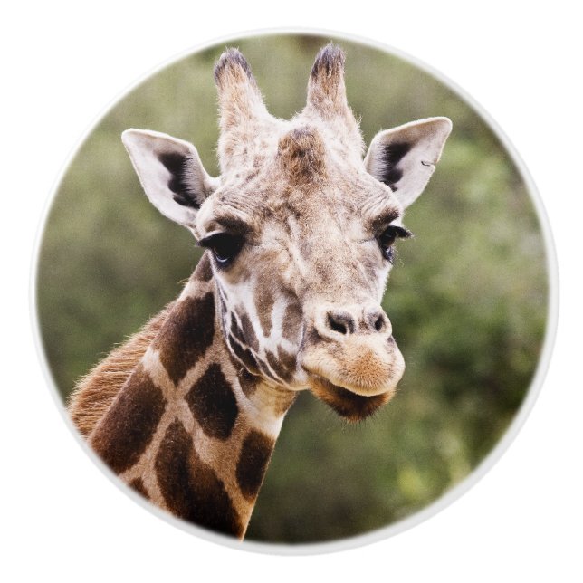 Pomo De Cerámica Botón de la jirafa (Anverso)