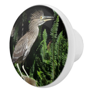 Pomo De Cerámica Botón de los animales de la fauna del pájaro de