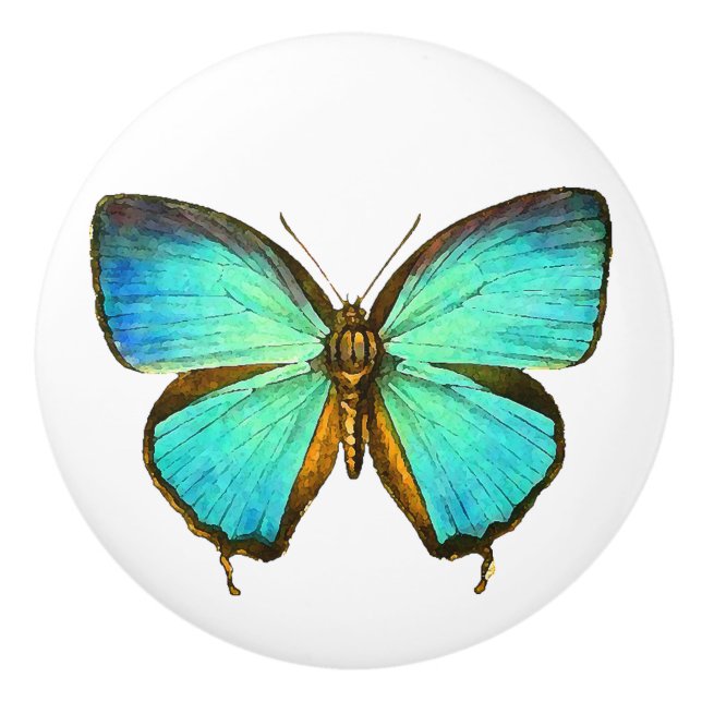 Pomo De Cerámica Botón del animal de la fauna del insecto de la (Anverso)