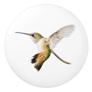 Pomo De Cerámica Botón del colibrí de Allen