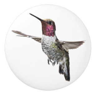 Pomo De Cerámica Botón del colibrí de Ana
