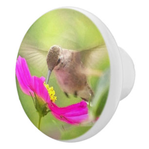 Pomo De Cerámica Botón floral animal de la fauna del pájaro del