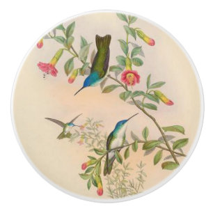 Pomo De Cerámica Botón floral del jardín de la flor de los pájaros