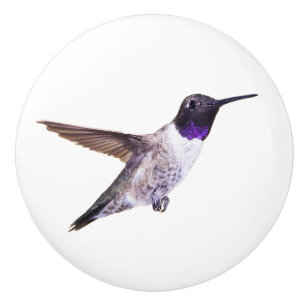 Pomo De Cerámica Botón Negro-chinned del colibrí
