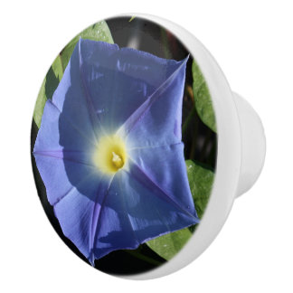Pomo De Cerámica Botones azules divinos de la cocina de la