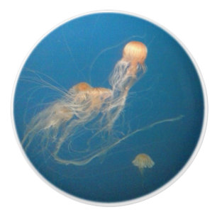 Pomo De Cerámica Botones de cerámica de las medusas