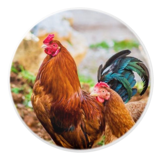 Pomo De Cerámica botones de cerámica del gallo (Anverso)