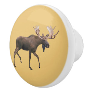 Pomo De Cerámica Bull Moose