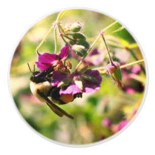 Pomo De Cerámica Bumble Bee En Flor Rosa