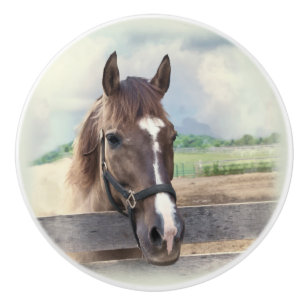 Pomo De Cerámica Caballo de Brown con el halter