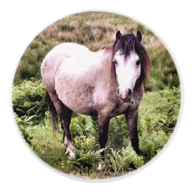 POMO DE CERÁMICA CABALLOS (Anverso)