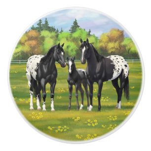 Pomo De Cerámica Caballos Appaloosa Negros En Pastel De Verano