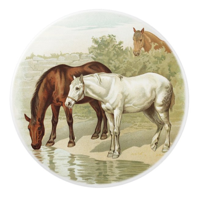 Pomo De Cerámica Caballos Vintage Country Farm (Anverso)