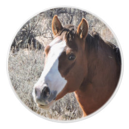 Pomo De Cerámica Cabellero