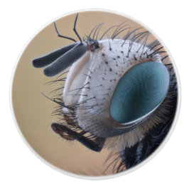 Pomo De Cerámica Cabeza de insecto en primer plano