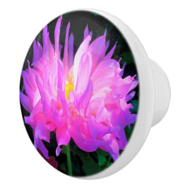 Pomo De Cerámica Cactus Dahlia rosa y morado asombroso