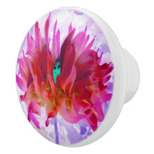 Cactus Rojo y Rosa Caliente Dahlia