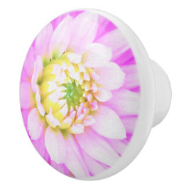 Pomo De Cerámica Cactus rosados, blancos y amarillos Dahlia Macro