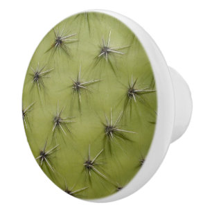 Pomo De Cerámica Cactus verdes pincha la puerta y los mandos de arr